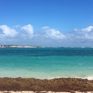 Meet your Posher, P.